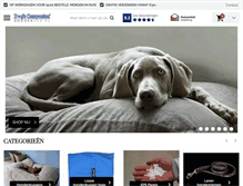 Tablet Screenshot of hondenbed.nl